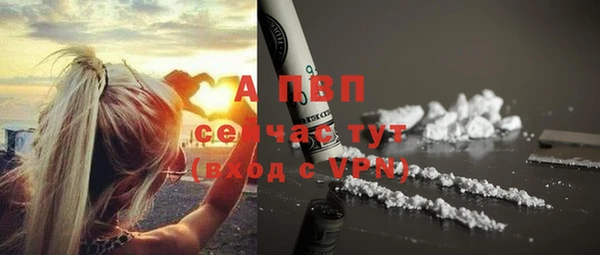 герыч Вяземский