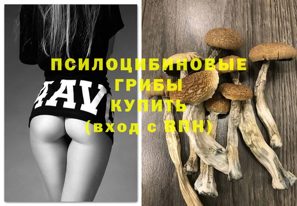 скорость Вязьма